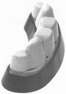 ROMA DENTADURINHA