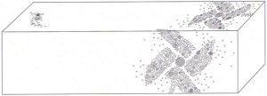 302013006679