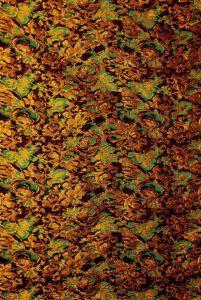 PADRÃO ORNAMENTAL APLICADO EM TECIDO