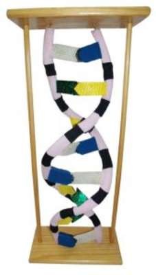 CONFIGURAÇÃO APLICADA A/EM MODELO DIDÁTICO DE MOLÉCULA DE DNA