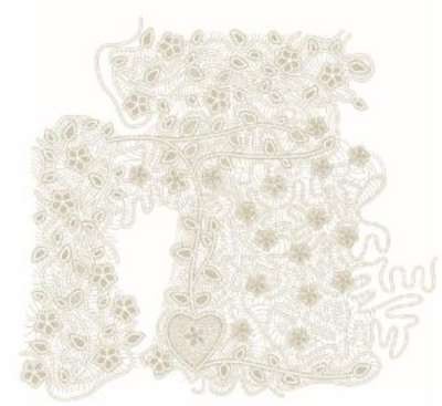 PADRÃO ORNAMENTAL APLICADO EM RENDA