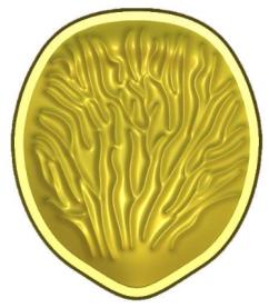ORNAMENTO APLICADO A/EM FRISADOR