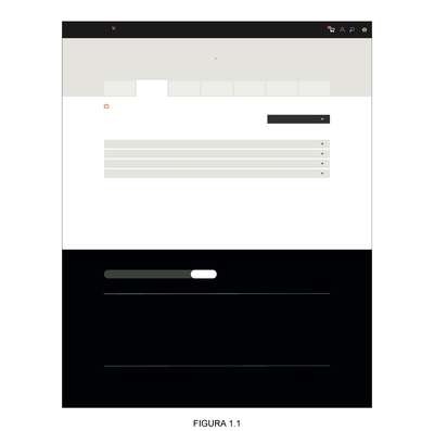 PADRÃO ORNAMENTAL APLICADO A/EM INTERFACE GRÁFICA