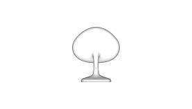 Ornamentos de mesa