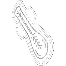 ABSORVENTE