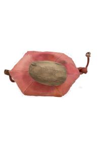 Bolsas a tiracolo