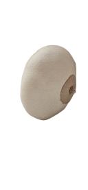 Material didático 
