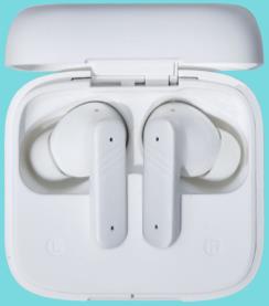ESTOJO COM FONES DE OUVIDO