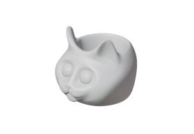 VASOS