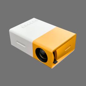 302025005001