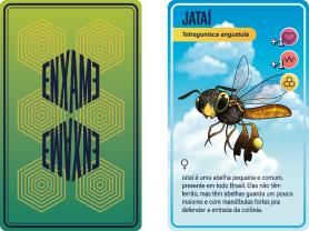 CARTAS DE BARALHO