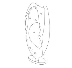 Dispositivo Tridimensional para Mapeamento de Furo Auricular