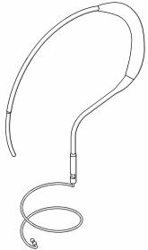 Variação 1 : Dispositivo transcateter

