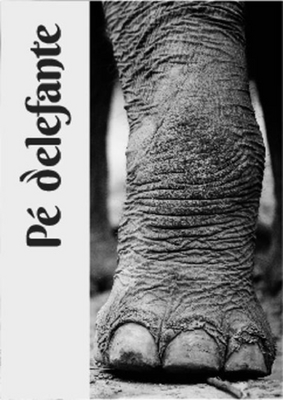 PÉ D'ELEFANTE