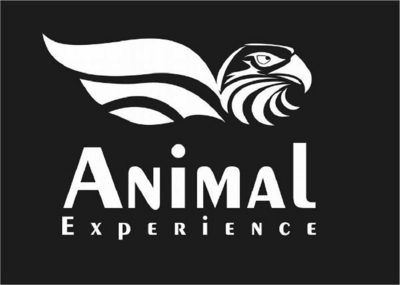 ANIMAL EXPERIENCE