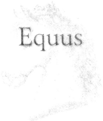 EQUUS