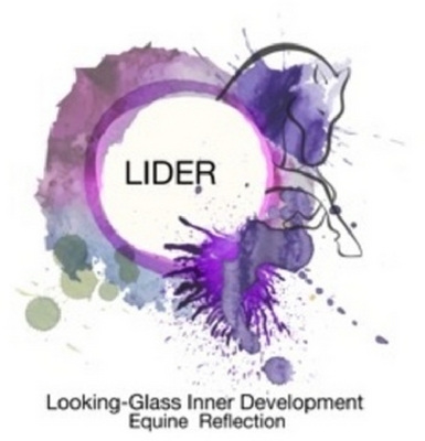 LIDER LOOKING-GLASS INNER DEVELOPMENT EQUINE REFLECTION