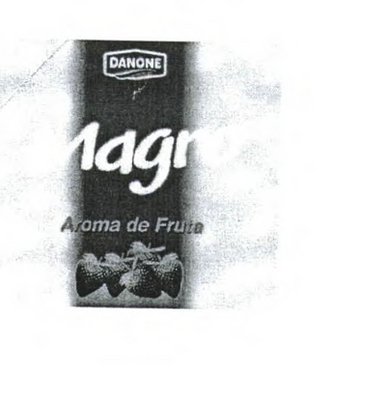 DANONE MAGRO AROMA DE FRUTA