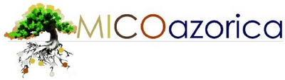 MICOAZORICA