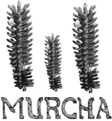 MURCHA