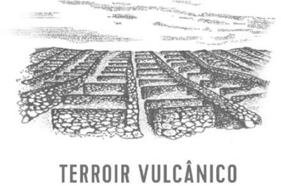 TERROIR VULCÂNICO