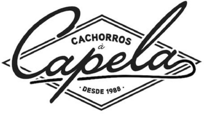 CACHORROS À CAPELA DESDE 1988