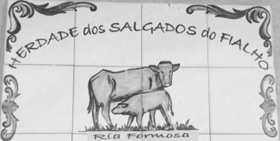 HERDADE DOS SALGADOS DO FIALHO - RIA FORMOSA