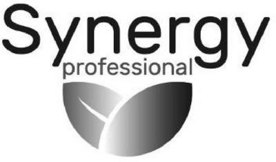 SYNERGY PROFESSIONAL