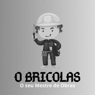 O BRICOLAS O SEU MESTRE DE OBRAS