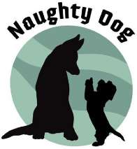 NAUGHTY DOG
