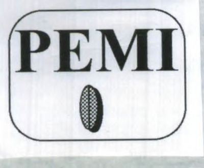 PEMI