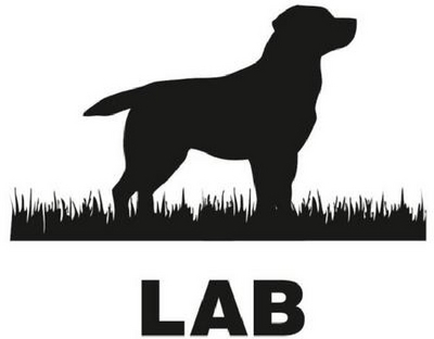 LAB