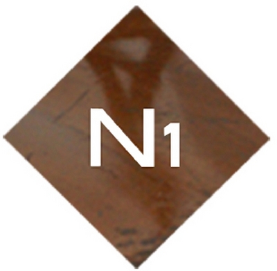 N1