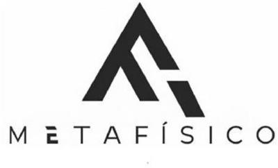 METAFÍSICO