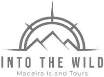 INTO THE WILD MADEIRA ISLAND TOURS