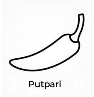 PUTPARI