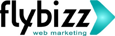 FLYBIZZ WEB MARKETING