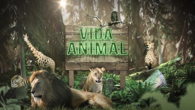 VIDA ANIMAL