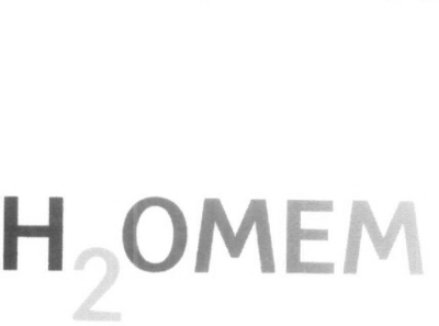 H2OMEM