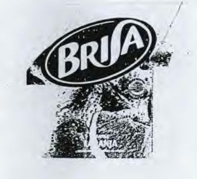 BRISA LARANJA
