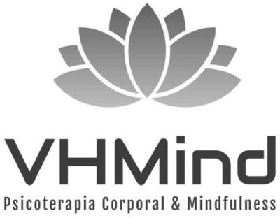VHMIND PSICOTERAPIA CORPORAL & MINDFULNESS