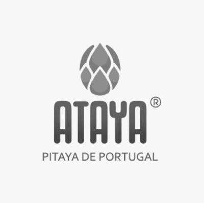 ATAYA PITAYA DE PORTUGAL