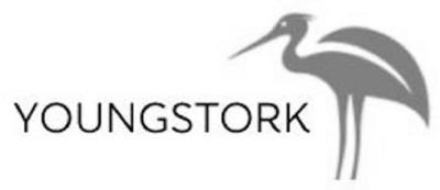 YOUNGSTORK