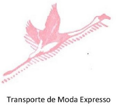 TRANSPORTE DE MODA EXPRESSO