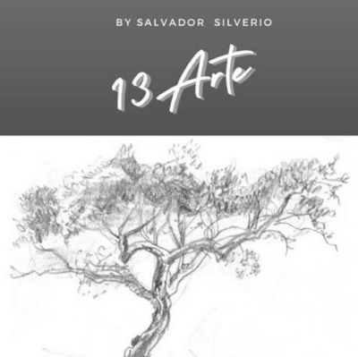13 ARTE BY SALVADOR SILVÉRIO