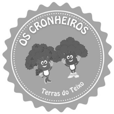 OS CRONHEIROS TERRAS DO TEIXO