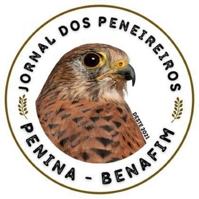 JORNAL DOS PENEIREIROS - PENINA - BENAFIM