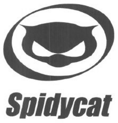 SPIDYCAT