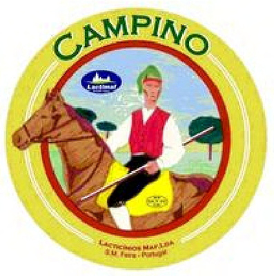 CAMPINO