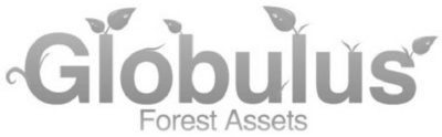 GLOBULUS FOREST ASSETS